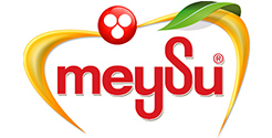 Meysu